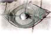 plat verre clair